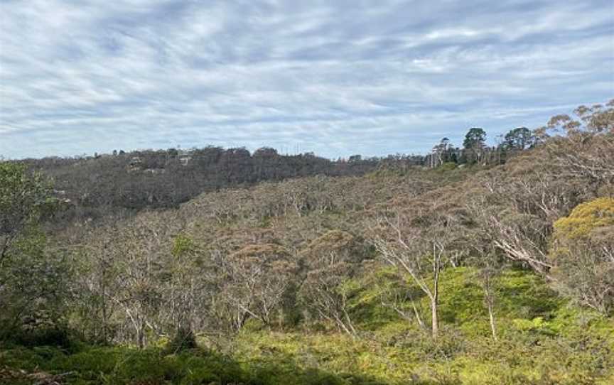 North Lawson Park, Lawson, NSW