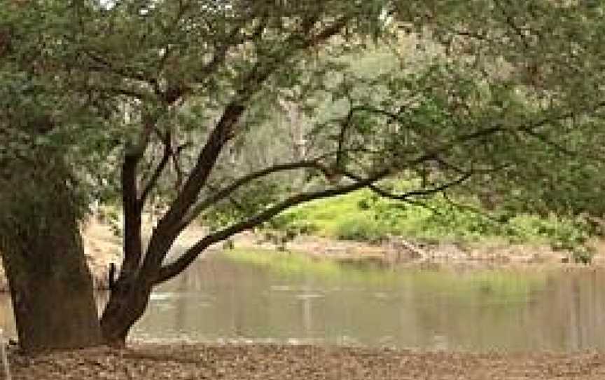 Pioneer Bridges Camping Reserve, Everton Hills, QLD