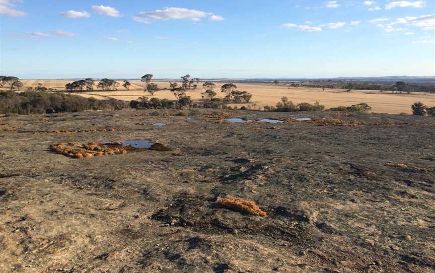 Puntapin Rock, Wagin, WA