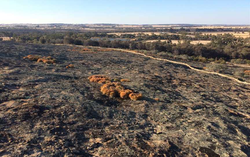 Puntapin Rock, Wagin, WA