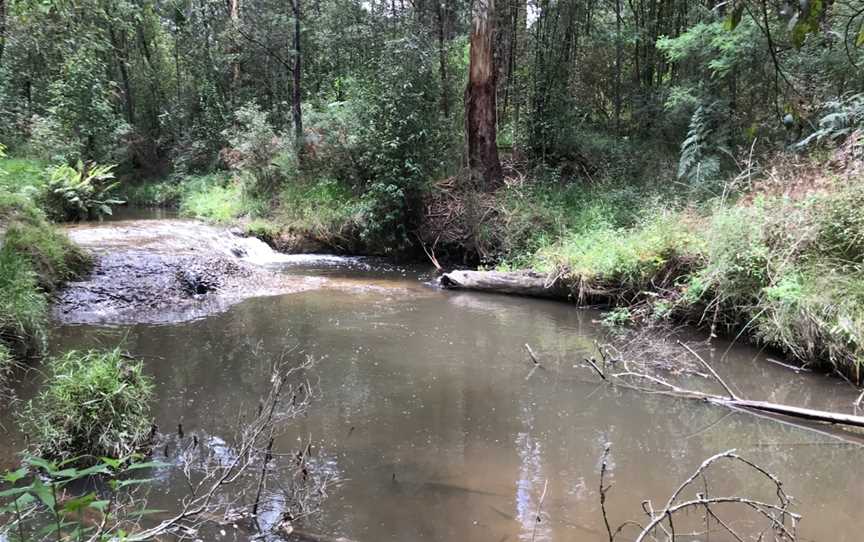 Quinn Reserve, Mount Evelyn, VIC