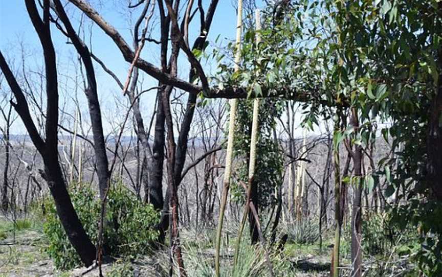 Roachdale Nature Trail, Kersbrook, SA