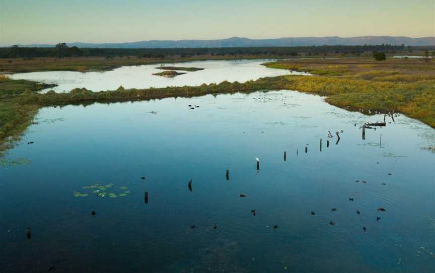 St Lawrence Wetlands, St Lawrence, QLD