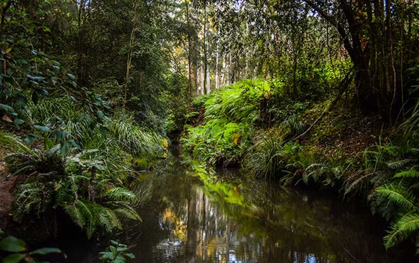 Sun Valley Fire Trail, Valley Heights, NSW