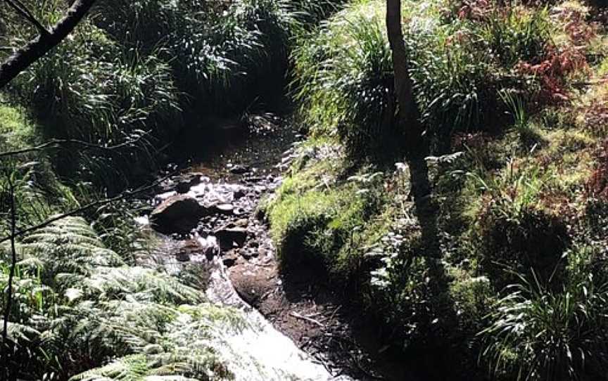 Sun Valley Fire Trail, Valley Heights, NSW