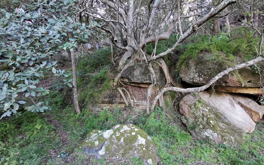 Swallow Rock Reserve, Grays Point, NSW