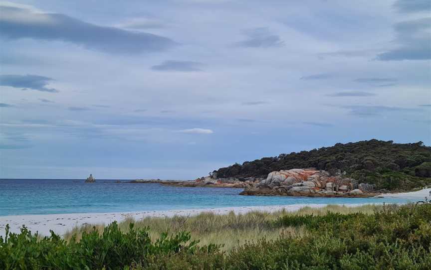 Taylors Beach, The Gardens, TAS