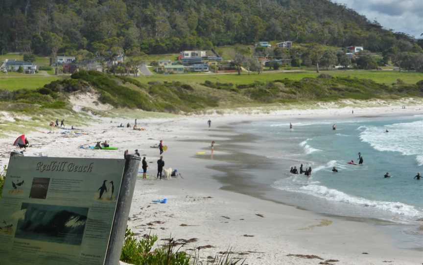 Taylors Beach, The Gardens, TAS