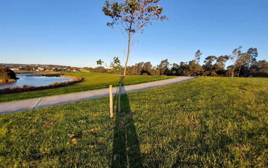 Troups Creek Retarding Basin, Narre Warren, VIC