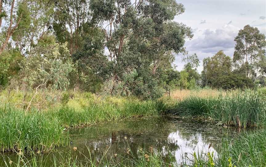 Troups Creek Retarding Basin, Narre Warren, VIC