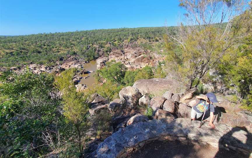 Warro National Park, Lake Monduran, QLD