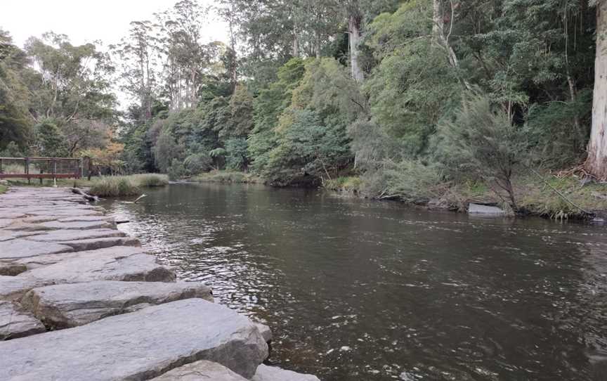 Warburton Picnic Park, Warburton, VIC