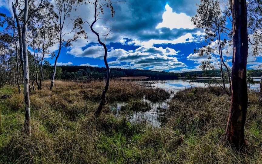 Warren Reservoir, Williamstown, SA