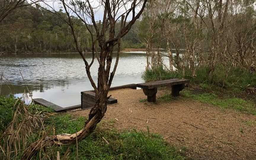 Wetlands Walk, Nowa Nowa, VIC