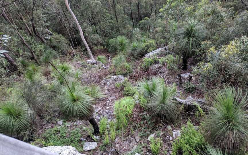 Westridge Outlook, Mount Glorious, QLD