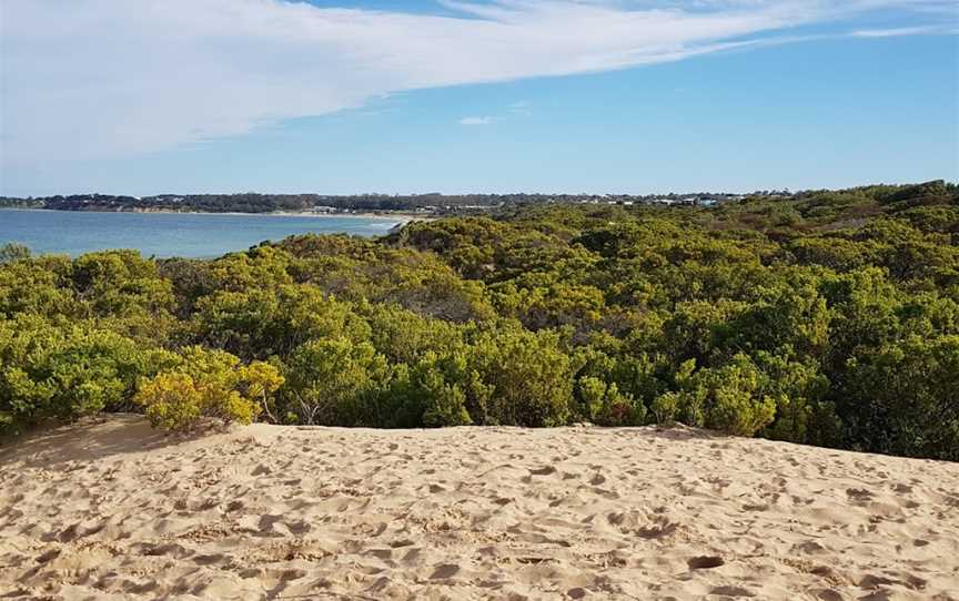 Whites Beach, Torquay, VIC