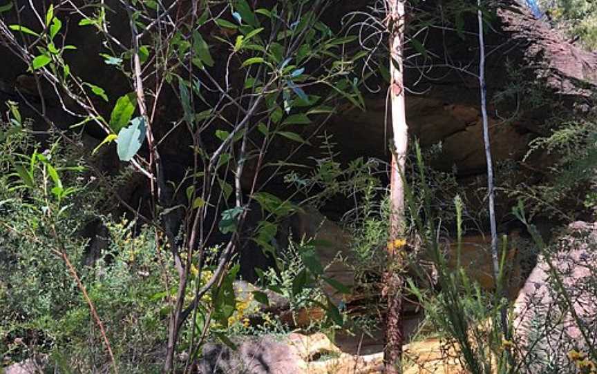 Yellow Rock Fire Trail, Winmalee, NSW