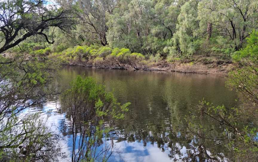 Blackwood River National Park, Rosa Brook, WA