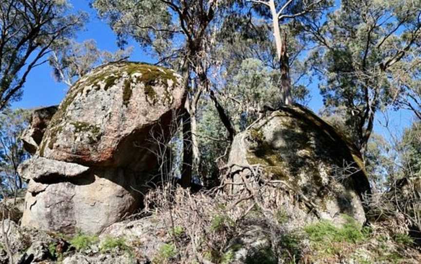 Cleo's Track, Mount Victoria, NSW