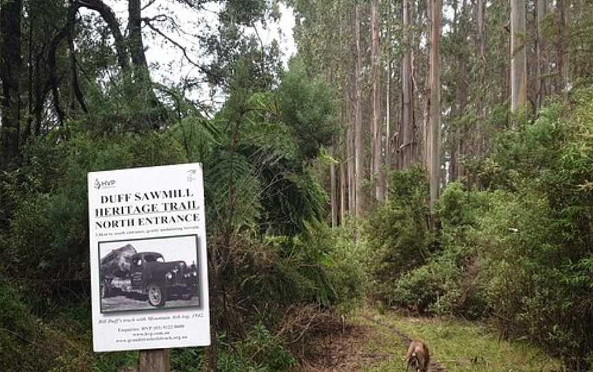 Duff Sawmill Heritage Trail, Balook, VIC