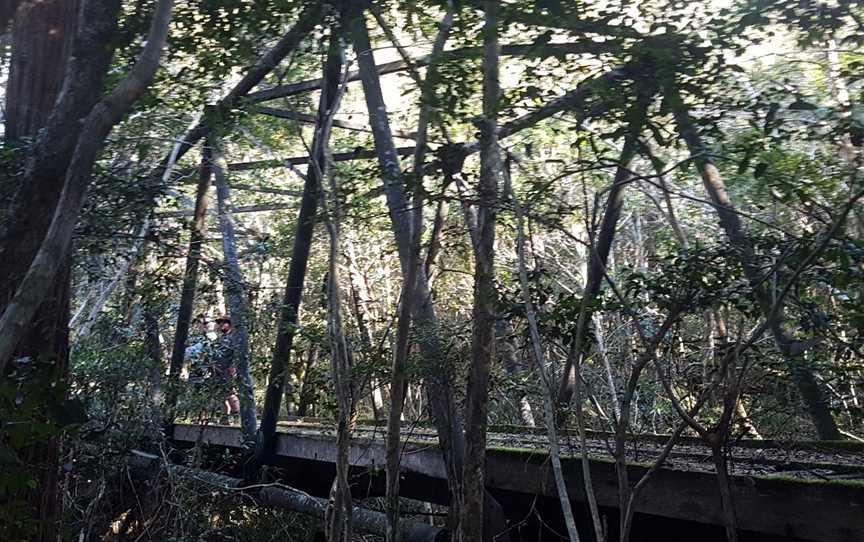 Ghin-Doo-Ee National Park, Upper Crystal Creek, NSW