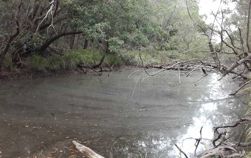 Gympie National Park, Goomboorian, QLD