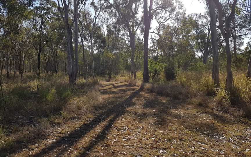 Limestone Creek Conservation Park, Rockhampton, QLD