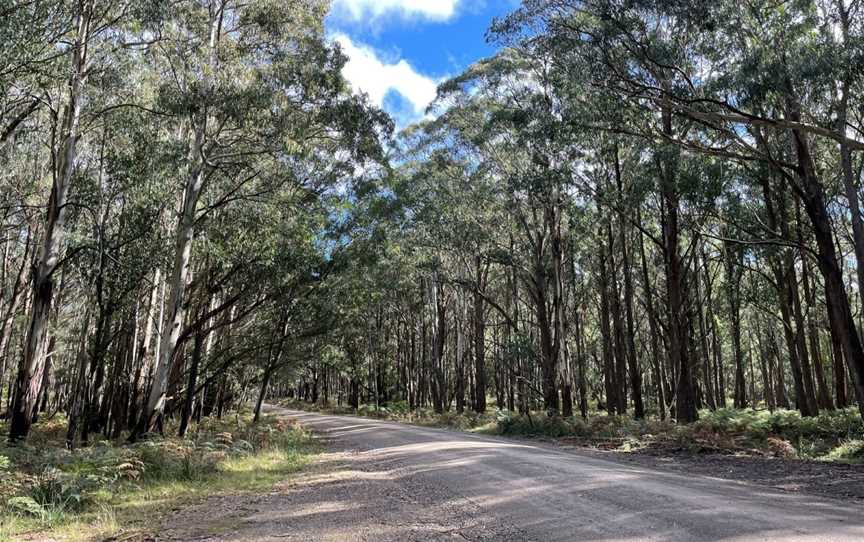 Mares Forest National Park, Oberon, NSW