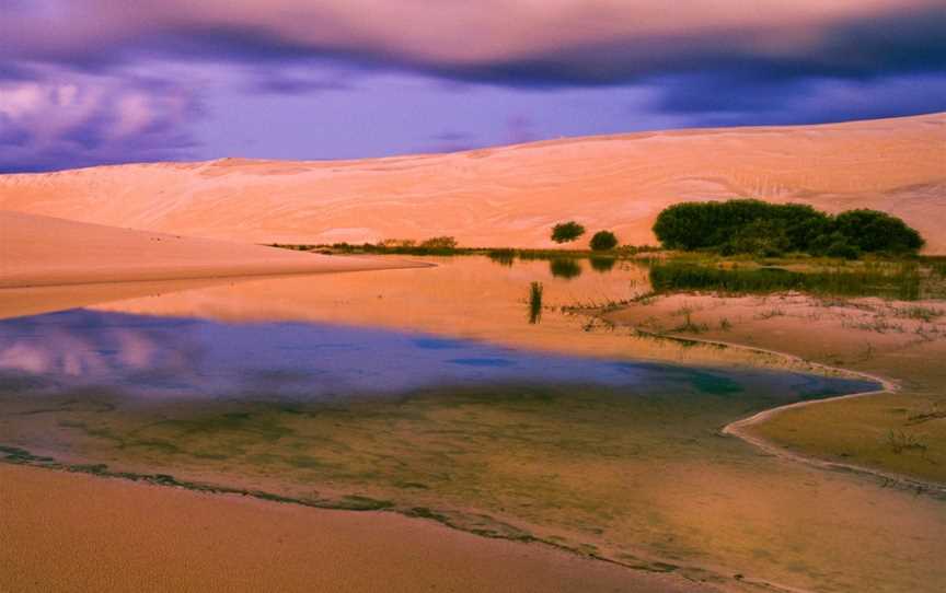 Moreton Island Desert, Moreton Island, QLD