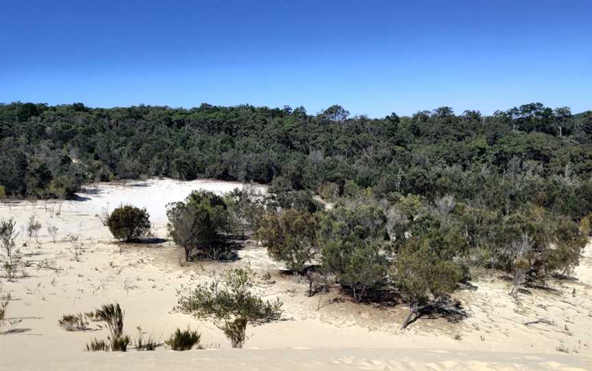 Moreton Island Desert, Moreton Island, QLD