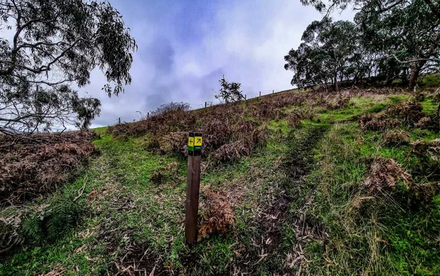 Mount Magnificent Conservation Park, Mount Magnificent, SA