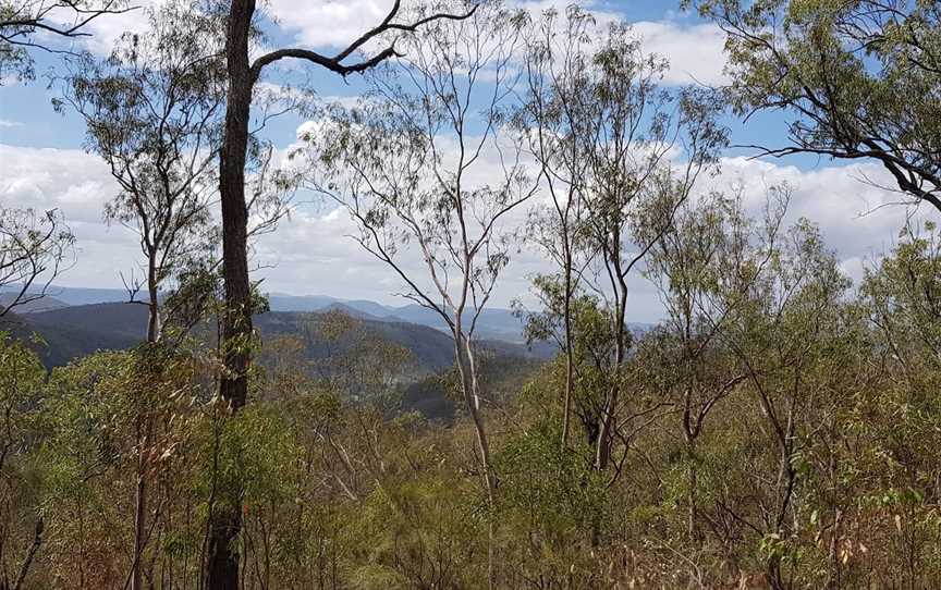 Oakview National Park, Oakview, QLD