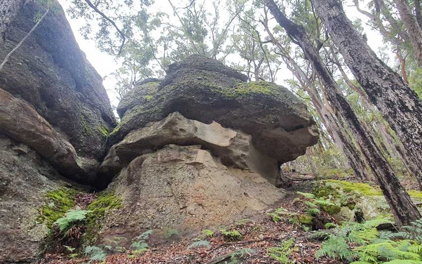 Tarlo River National Park, Taralga, NSW