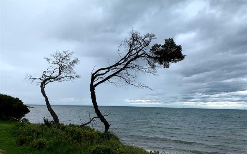 Taylor Reserve, Indented Head, VIC