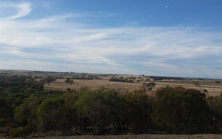 Toapin Weir, Quairading, WA