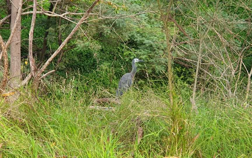 Yallambie Park, Lower Plenty, VIC