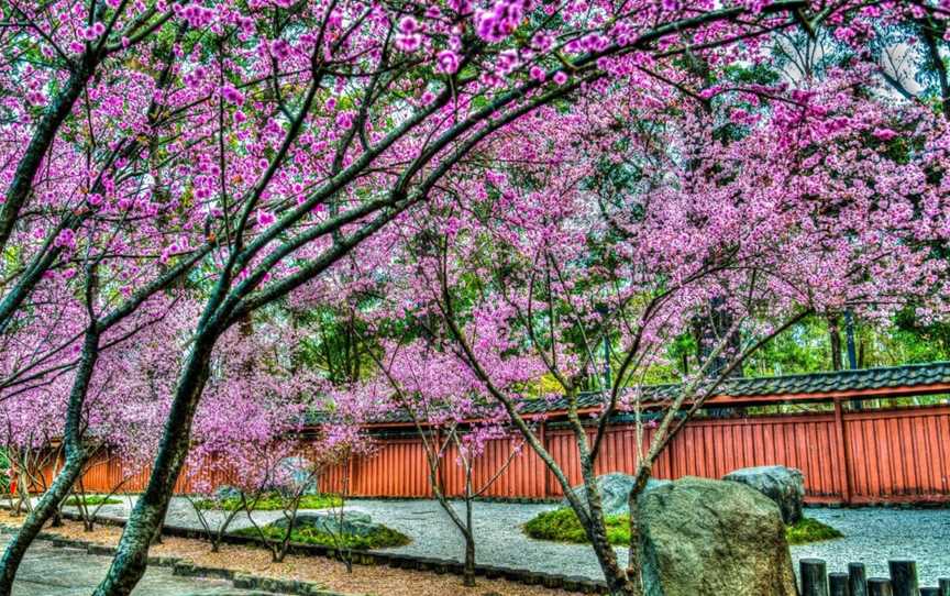 Auburn Botanic Gardens, Auburn, NSW