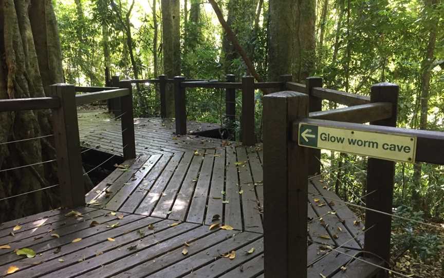 Springbrook National Park, Springbrook, QLD