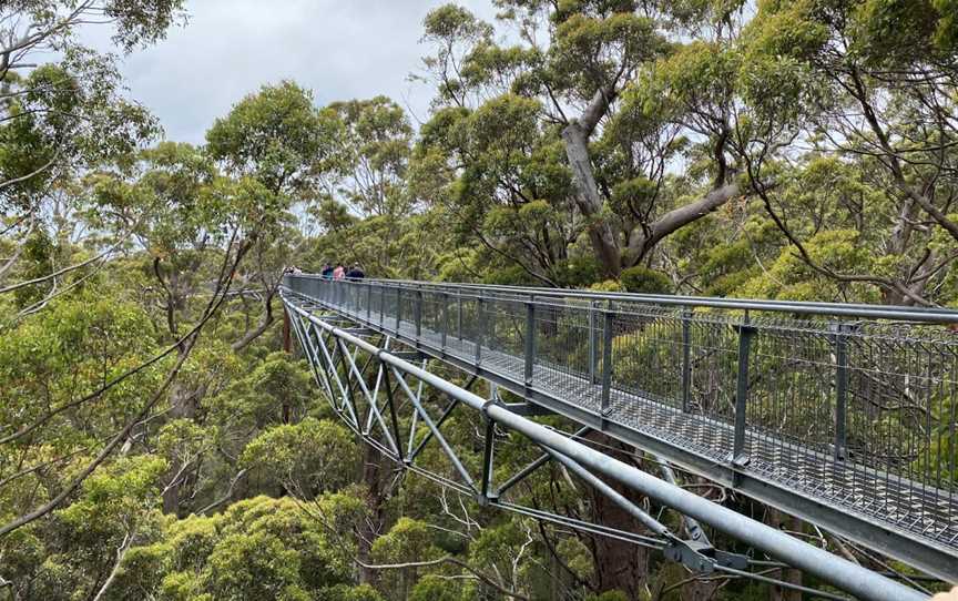 Valley of the Giants Tree Top Walk, Tingledale, WA