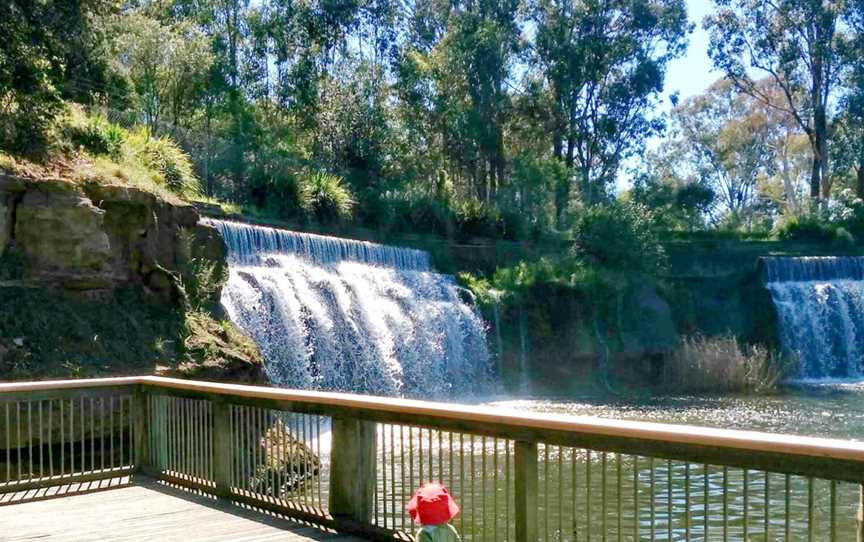 Central Gardens Nature Reserve, Merrylands West, NSW