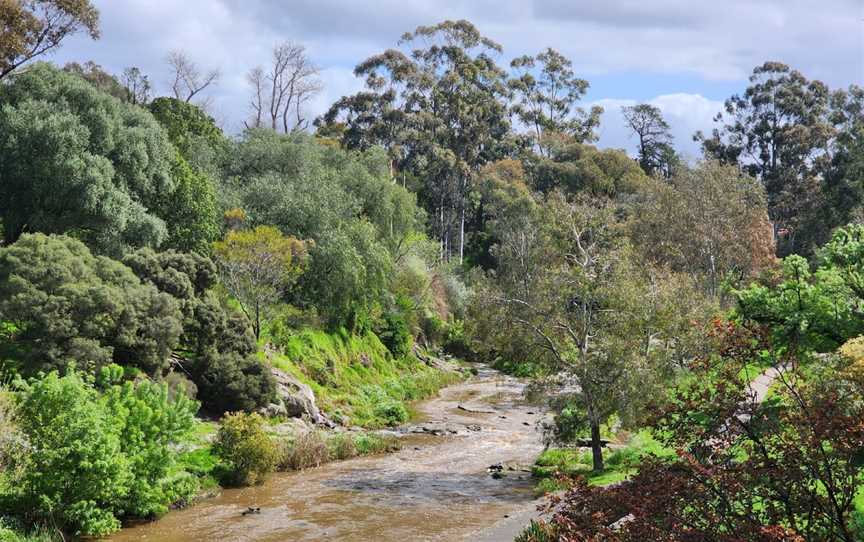 Coburg Lake Reserve, Coburg North, VIC