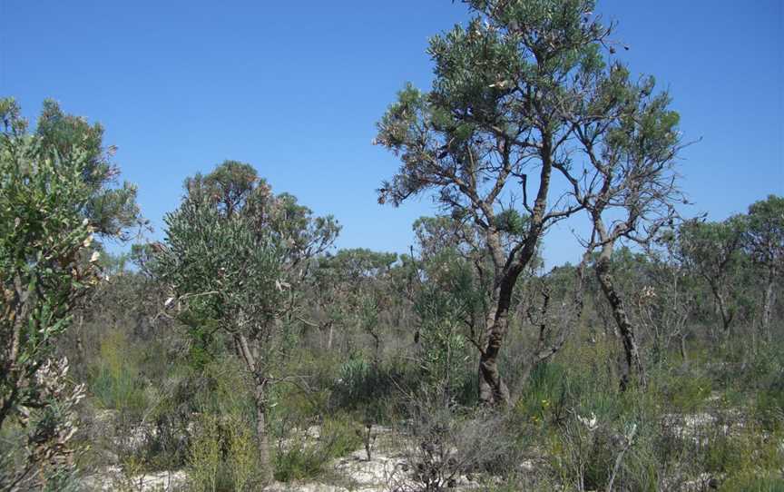 Moore River National Park, Moore River National Park, WA