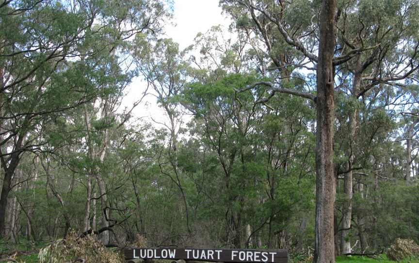 Tuart Forest National Park, Ludlow, WA