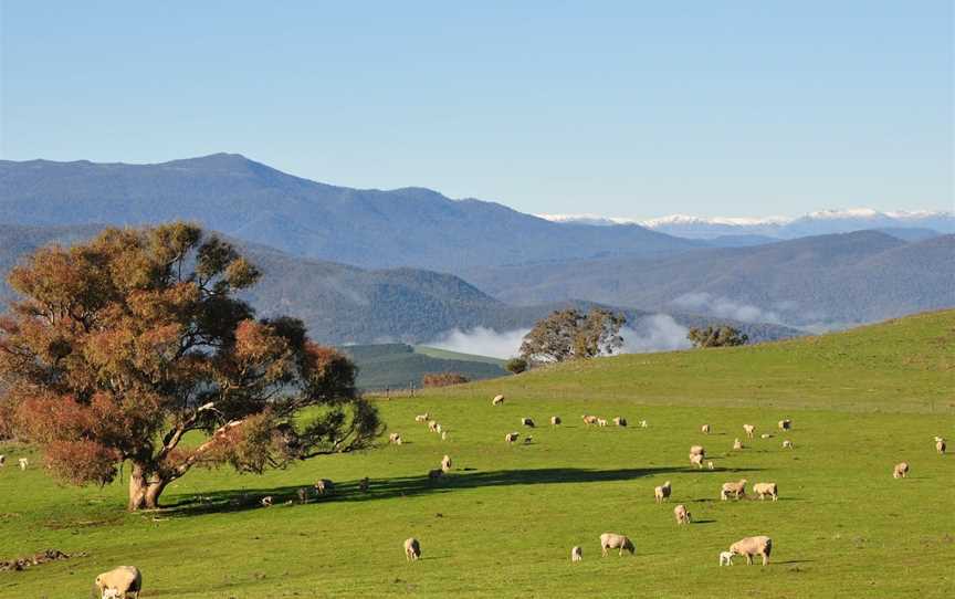 Southern Cloud Memorial Lookout, Maragle, NSW