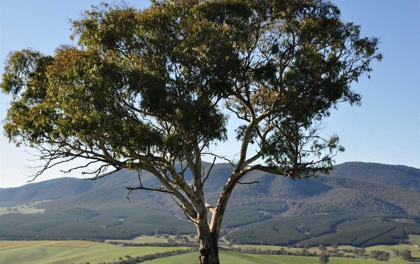 Southern Cloud Memorial Lookout, Maragle, NSW