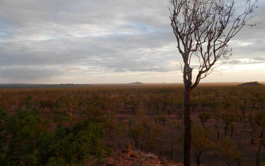 Undara Lava Tubes, Mount Surprise, QLD