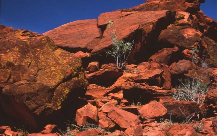 Napwerte / Ewaninga Rock Carvings Conservation Reserve, Alice Springs, NT