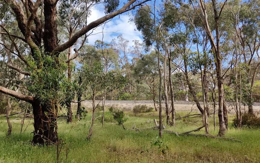 Langi Ghiran State Park, Dobie, VIC