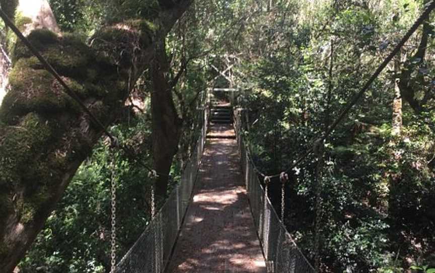 Mackenzie River Rainforest Walk, Club Terrace, VIC