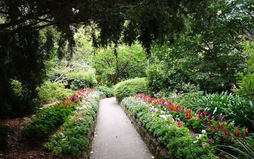 EG Waterhouse National Camellia Gardens, Caringbah, NSW